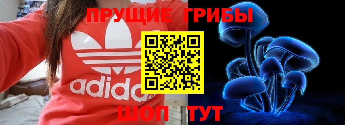Галлюциногенные грибы MAGIC MUSHROOMS  Вход с VPN  Амурск 
