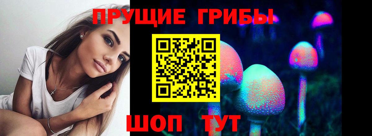 Галлюциногенные грибы прущие грибы Амурск